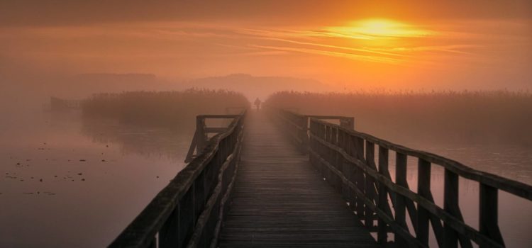 Quince propuestas de retiro y oración para vivir el Adviento