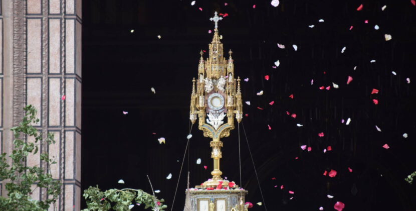 «La paz que el mundo necesita solo brota de un corazón convertido por la Eucaristía»