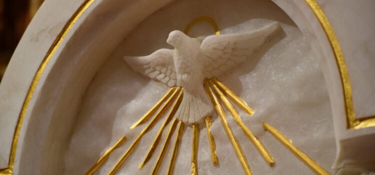Burgos celebra el 950 aniversario de la sede episcopal