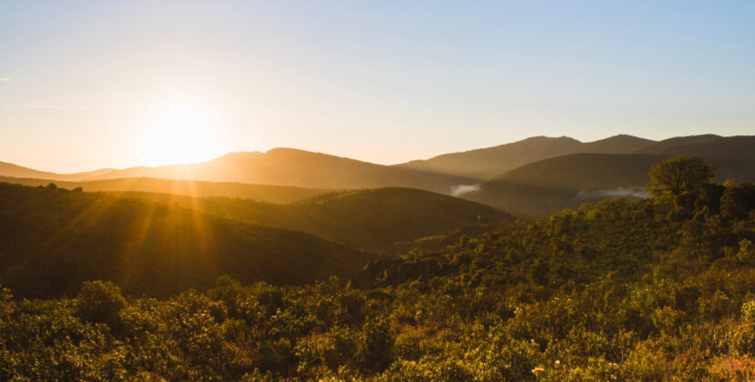 «Verano: tiempo para serenar la vida»