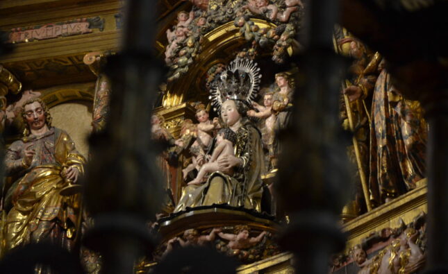 «María nos acompaña en nuestra peregrinación al cielo»