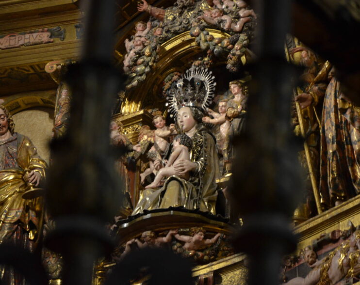 «María nos acompaña en nuestra peregrinación al cielo»