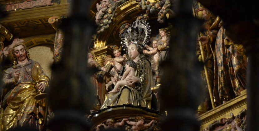 «María nos acompaña en nuestra peregrinación al cielo»