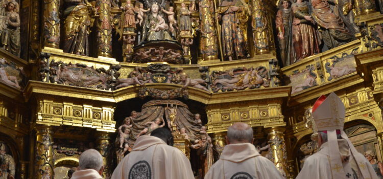 «Estamos llamados a llevar la misericordia de Dios al desierto del mundo»