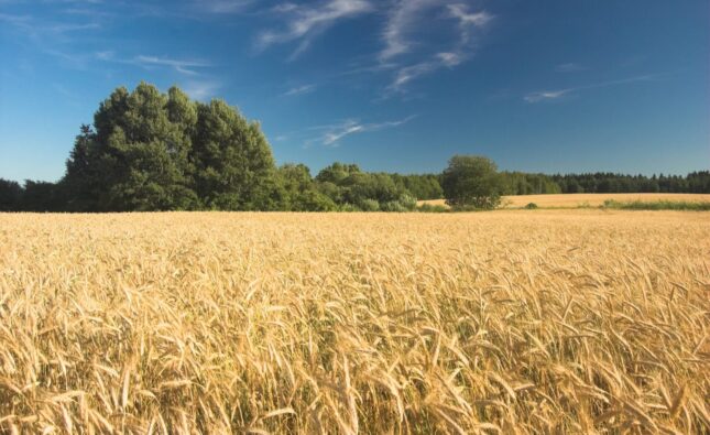 Este viernes arrancan los ‘Encuentros en el mundo rural’ en Villahoz