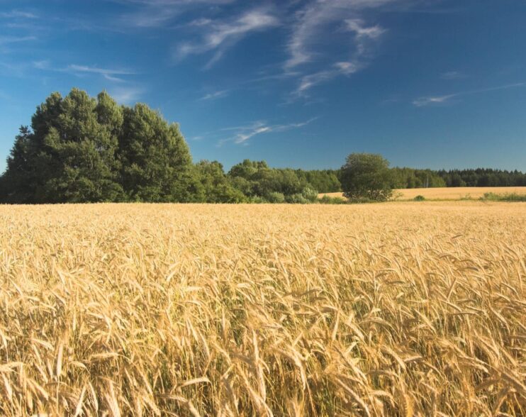 Este viernes arrancan los ‘Encuentros en el mundo rural’ en Villahoz