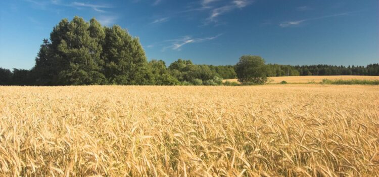 Este viernes arrancan los ‘Encuentros en el mundo rural’ en Villahoz