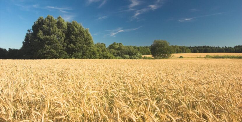 Este viernes arrancan los ‘Encuentros en el mundo rural’ en Villahoz