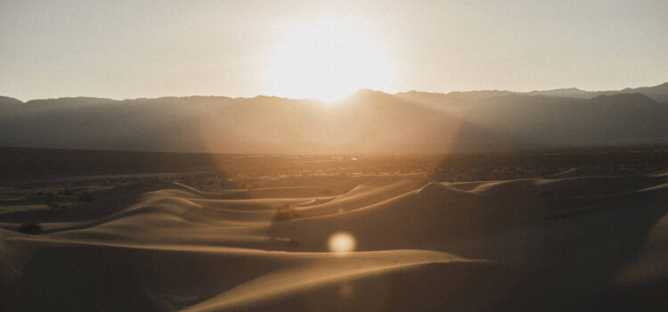 «Cuaresma: del desierto al amor que no pasa nunca»