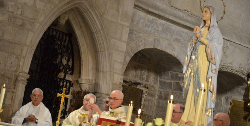«En Lourdes se palpa la fe, sobre todo, de los enfermos»