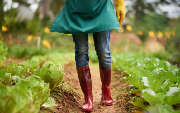 «Sembradoras de esperanza en la tierra de Dios»