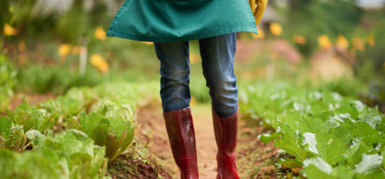 «Sembradoras de esperanza en la tierra de Dios»