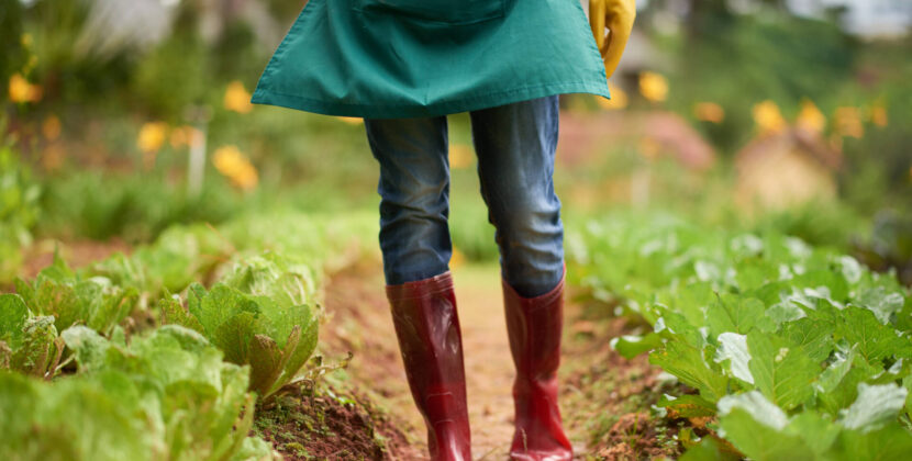 «Sembradoras de esperanza en la tierra de Dios»