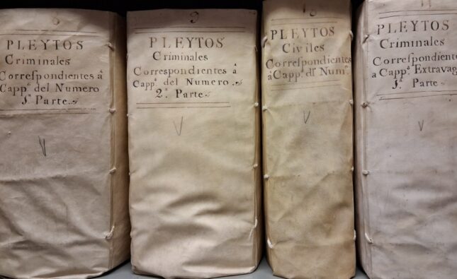 El Archivo de la Catedral concluye la catalogación de la sección de Pleitos Civiles y Criminales