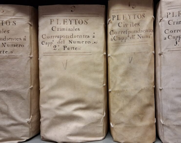 El Archivo de la Catedral concluye la catalogación de la sección de Pleitos Civiles y Criminales