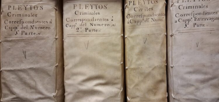 El Archivo de la Catedral concluye la catalogación de la sección de Pleitos Civiles y Criminales