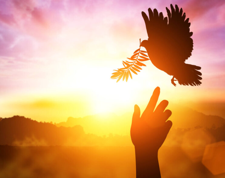 «Pentecostés: enviados a evangelizar»