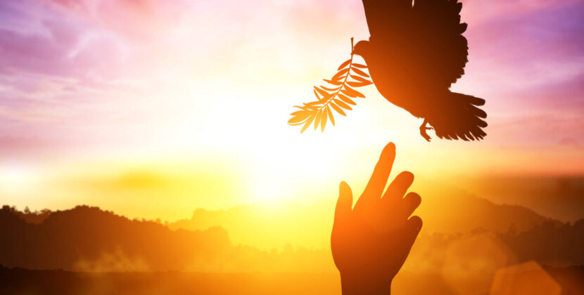 «Pentecostés: enviados a evangelizar»