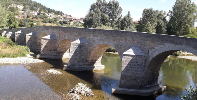 «La Iglesia ha sido nuestro puente fundamental para establecernos aquí»