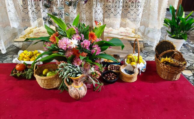 “Los frutos de la tierra” se presentan en la fiesta de la Sementera en Miranda de Ebro