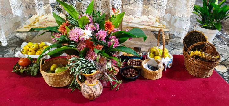 “Los frutos de la tierra” se presentan en la fiesta de la Sementera en Miranda de Ebro