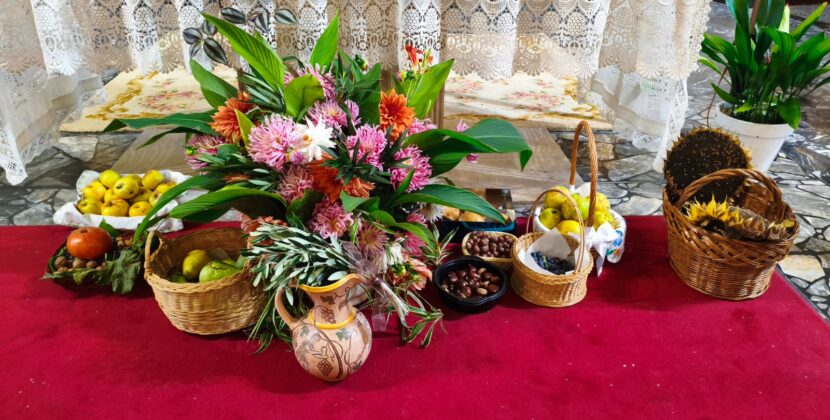 “Los frutos de la tierra” se presentan en la fiesta de la Sementera en Miranda de Ebro